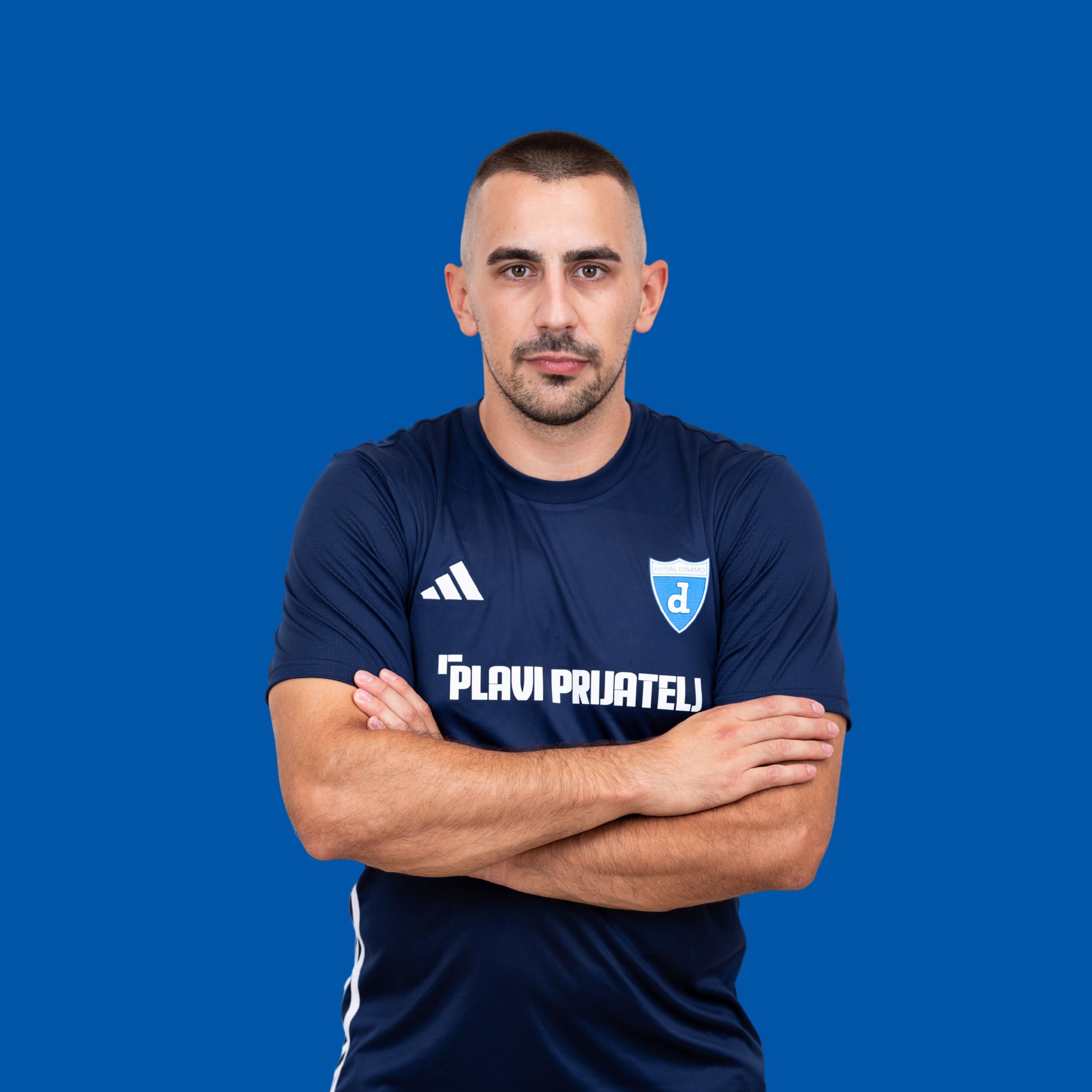 ante_piplica