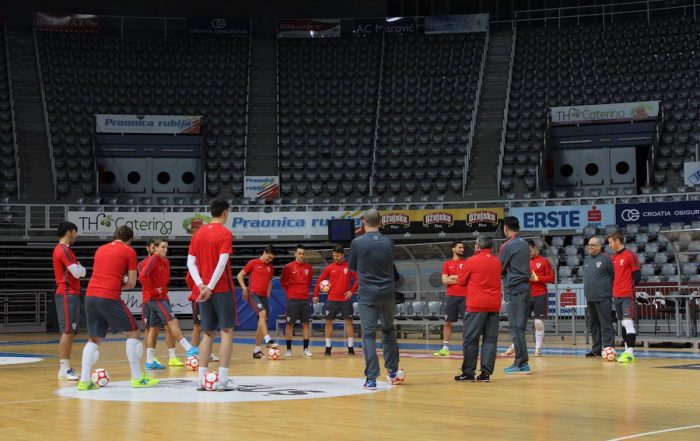 Hrvatska futsal reprezentacija