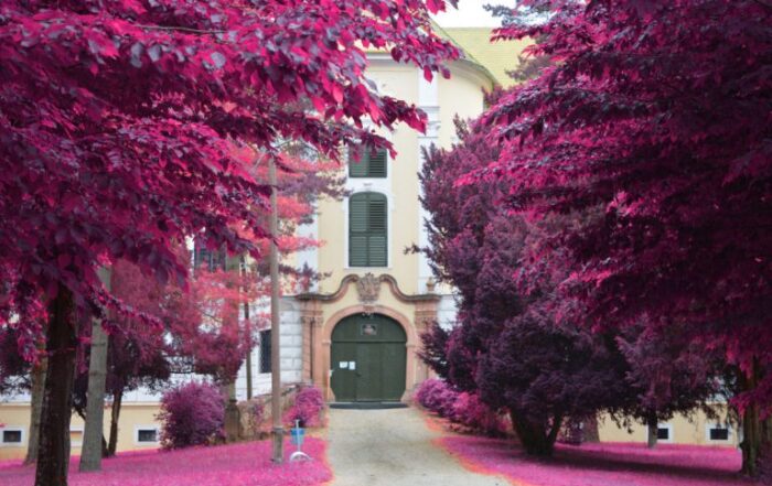 Specijalna dječja bolnica Bistra