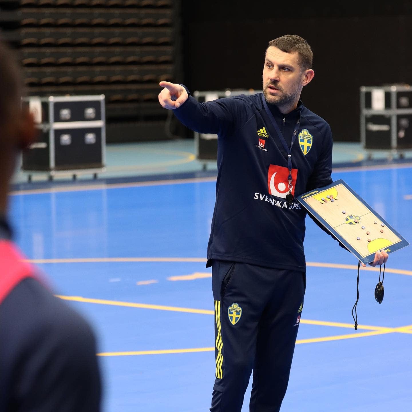 Đulvat izbornik Švedske