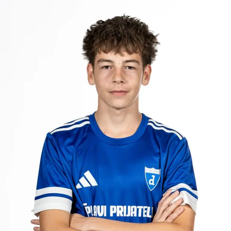 Niko Ružić